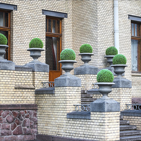 Особняк Матильды Кшесинской (вход со стороны  внутреннего дворика)